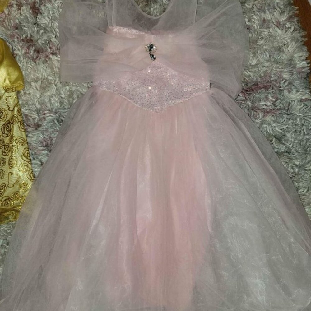 Light Pink Princess Costume (NWOT) 5T